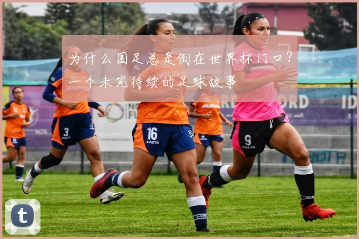 为什么国足总是倒在世界杯门口？一个未完待续的足球故事
