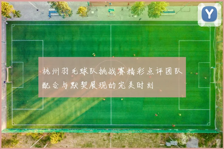 杭州羽毛球队挑战赛精彩点评团队配合与默契展现的完美时刻