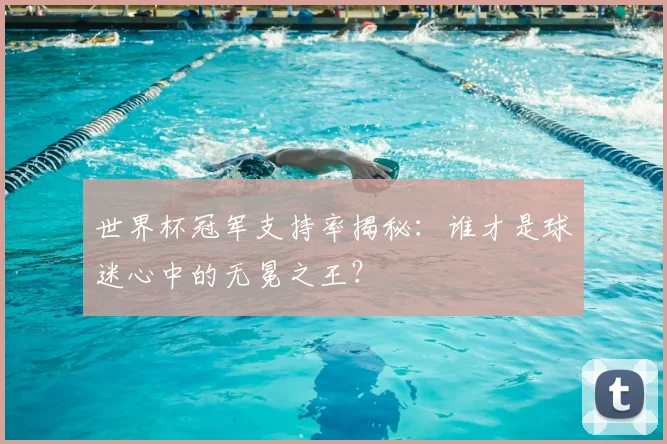 世界杯冠军支持率揭秘：谁才是球迷心中的无冕之王？