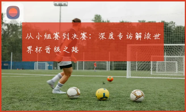 从小组赛到决赛：深度专访解读世界杯晋级之路