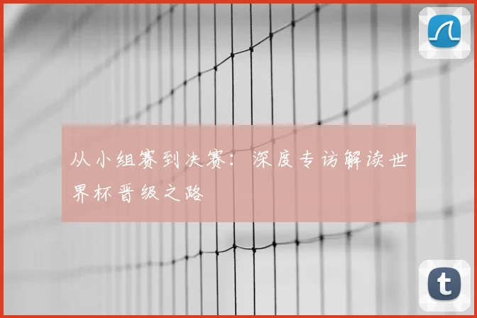 从小组赛到决赛：深度专访解读世界杯晋级之路