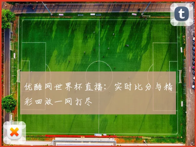 优酷网世界杯直播：实时比分与精彩回放一网打尽
