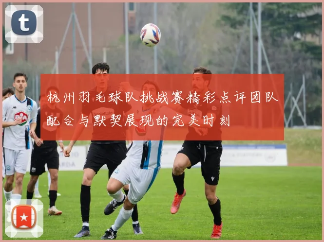 杭州羽毛球队挑战赛精彩点评团队配合与默契展现的完美时刻