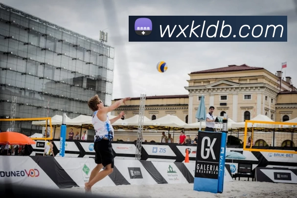 App Interface Preview