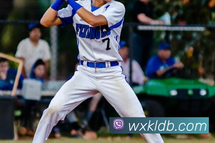 开云体育APP 封面图